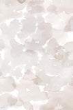 Colour Field Wallpaper - Taupe