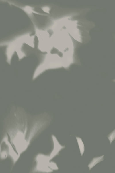 Sample - Drift Wallpaper Sage Brushed Metallic