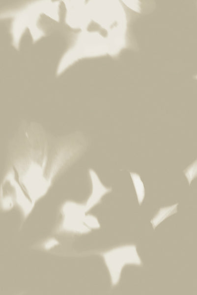 Sample - Drift Wallpaper Wheat Brushed Metallic