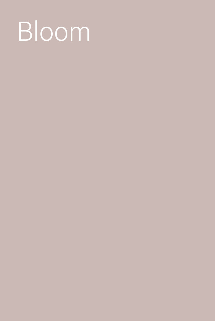 Bloom placeholder 1