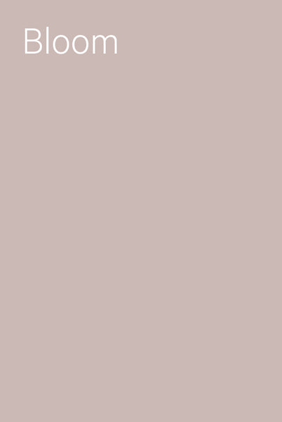 Bloom placeholder 1