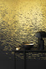 
  
	
		
    		Reflection Wallcovering - Gold